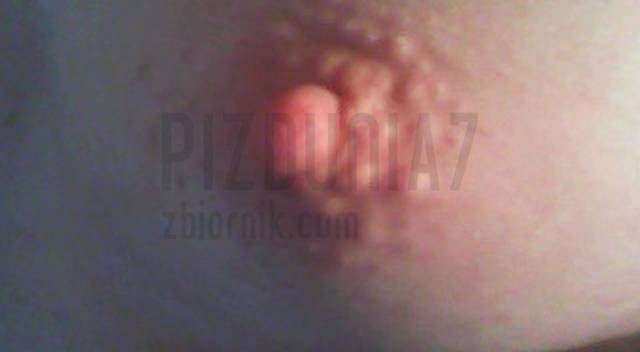 cycus.jpg - Pizdunia7