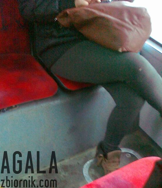 030120132641L.jpg - AGALA