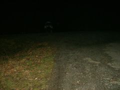 wypieta i gotowa do ruchania