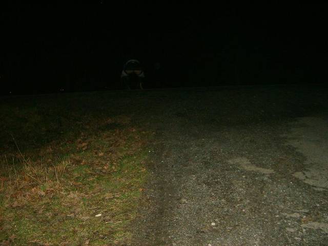 wypieta i gotowa do ruchania - agatka2