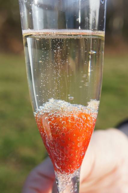 Fancy a drink? - sexamores
