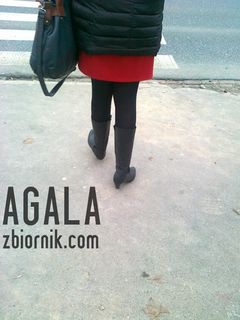 070120132722cz.jpg