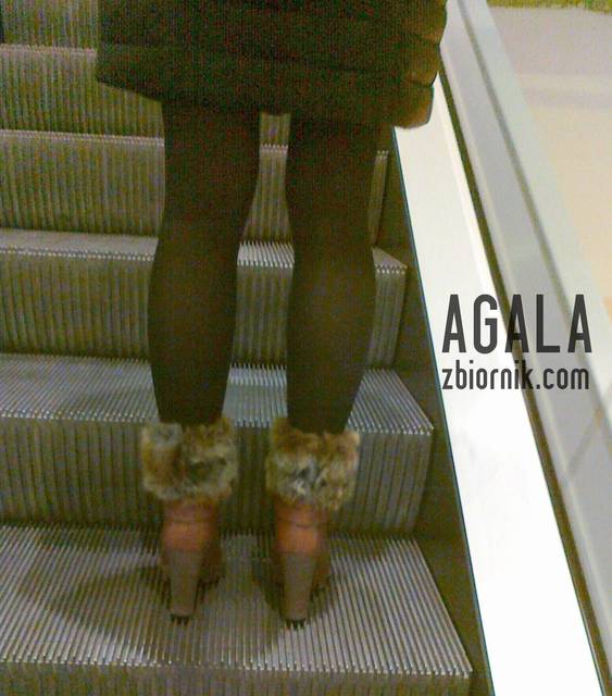 070120132694cz.jpg - AGALA