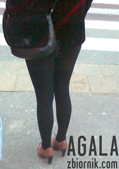 070120132763cz.jpg - AGALA