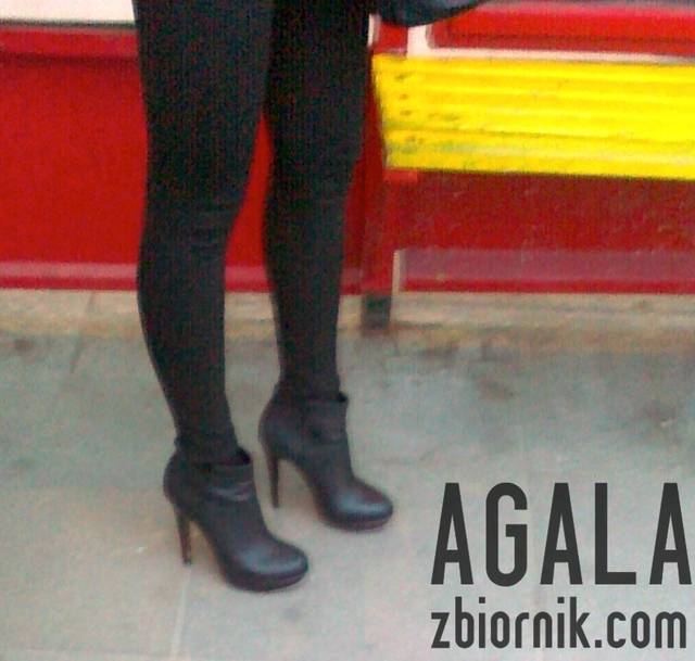 070120132754L.jpg - AGALA