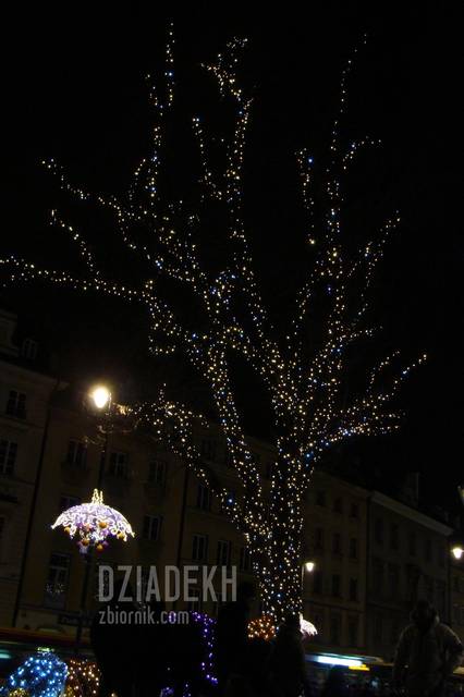 Drzewo - widmo - dziadekh