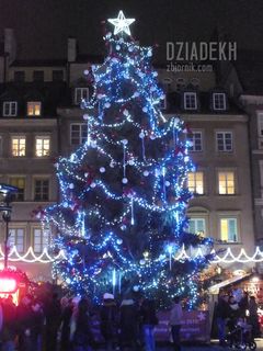 Choinka na Rynku Starego Miasta