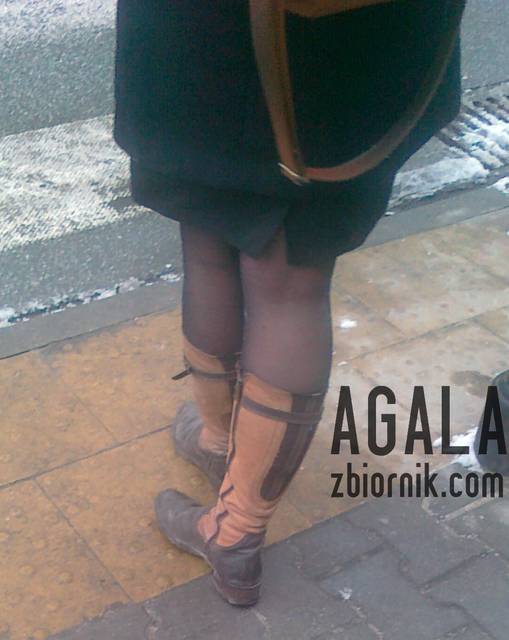 090120132791cz.jpg - AGALA