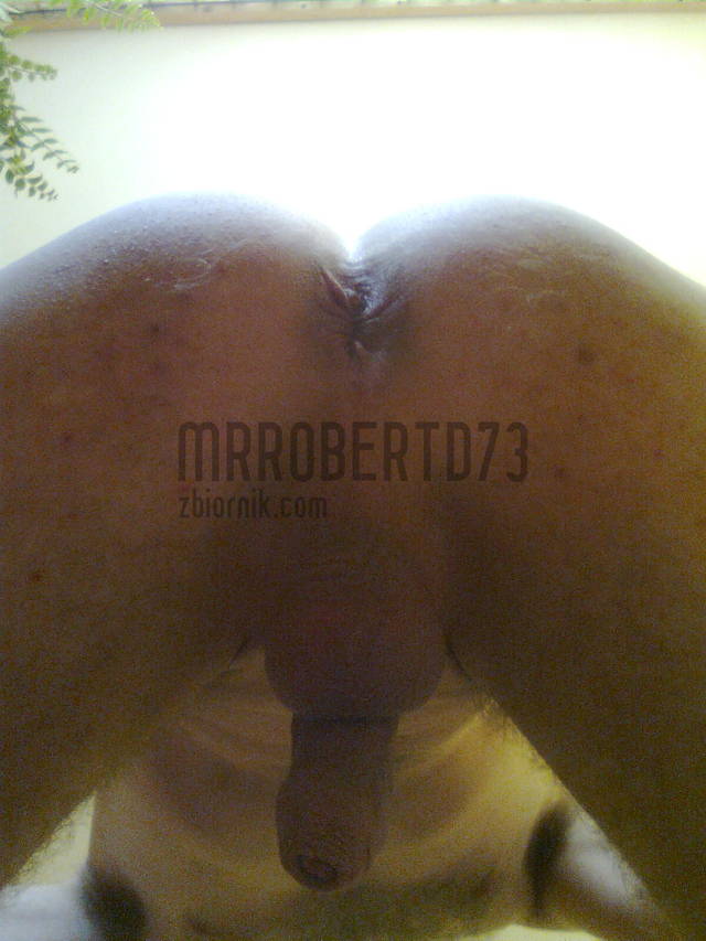 mrrobertd73