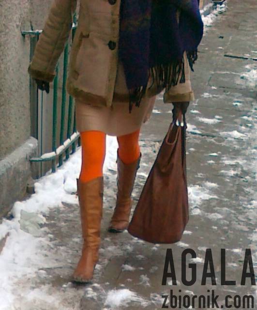 170120132931kol.jpg - AGALA