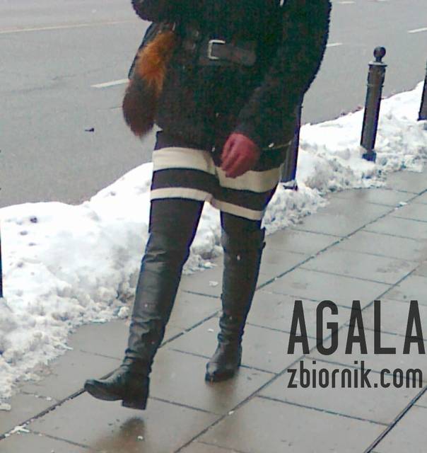 180120132935cz.jpg - AGALA