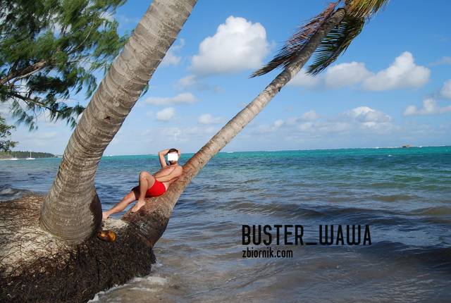 wakacje 2013 ;) - Buster_wawa