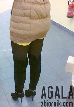 200120132981cz.jpg