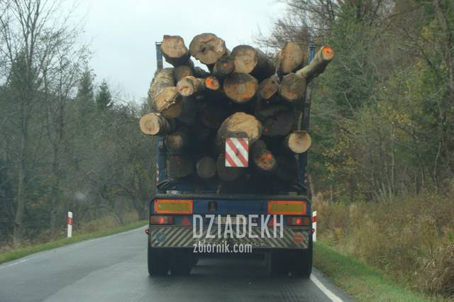 Najgorszy zawalidroga na pętli bieszczadzkiej - dziadekh