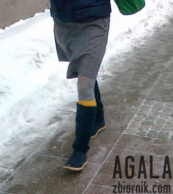220120133012v.jpg - AGALA