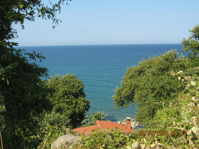 358.jpg - krinio