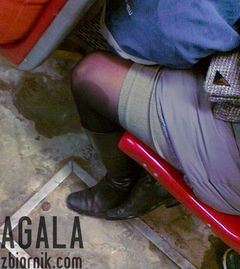 250120133064odj.jpg