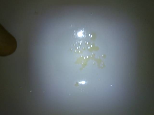 DSC_0119.JPG - sznaber