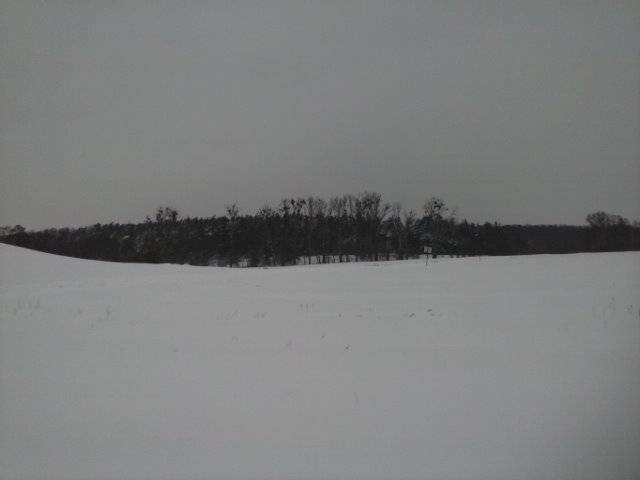 Cicho sza ..... - marys1964