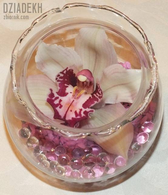 Pucharek wiosny na zimowe dni - dziadekh