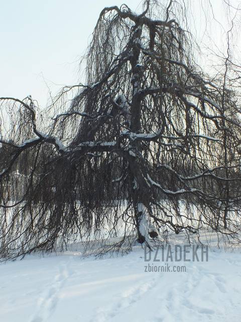 Coś dla miłośników golizny - dziadekh