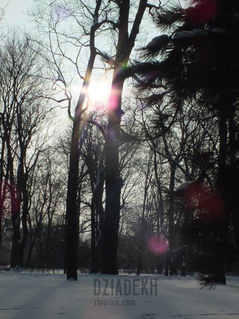 Zimowe słońce - dziadekh