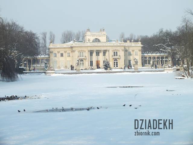 Pałac na wodzie w zimowej scenerii - dziadekh
