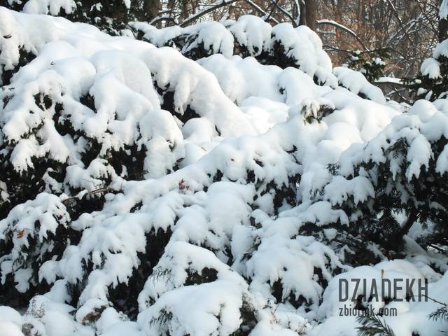 Nasypało... - dziadekh