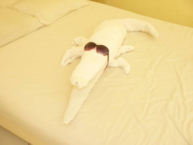 egipt2012 395 (Kopiowanie).JPG - dominik2201eu