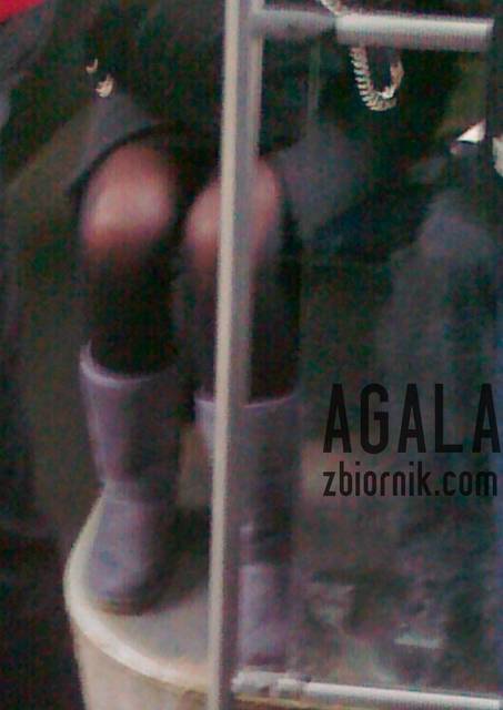 300120133112cz.jpg - AGALA