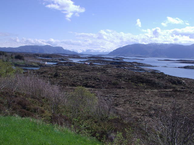 IMGP3616.JPG - milyg