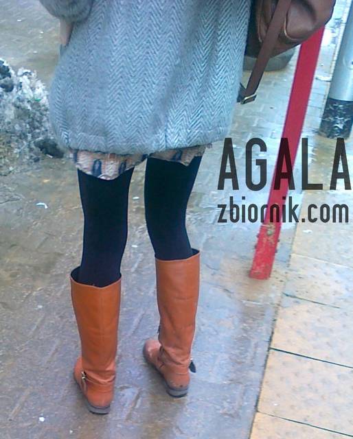310120133161cz.jpg - AGALA