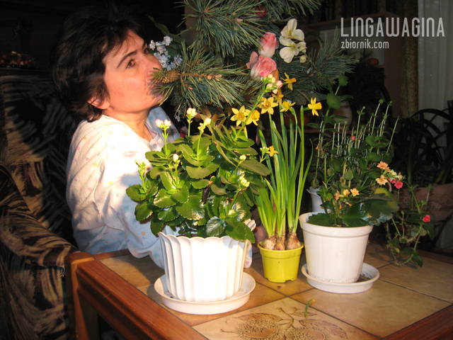 Na zb 170 C 028.jpg - lingawagina