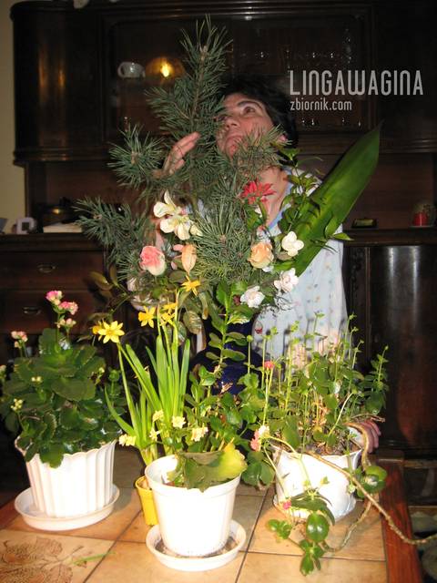 Na zb 170 C 035.jpg - lingawagina