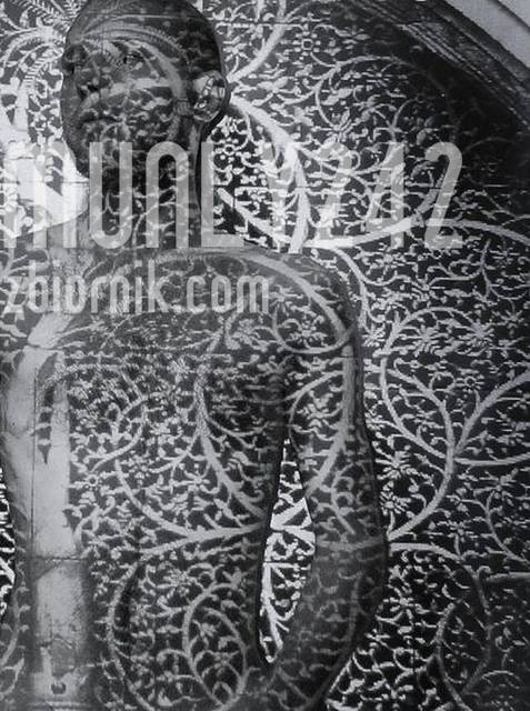 Moi - munly242