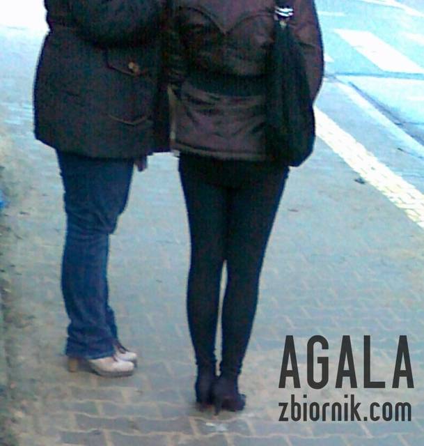060220133257L.jpg - AGALA