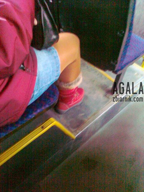 060220133247v.jpg - AGALA