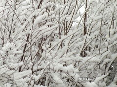 Powrót zimy w Warszawie