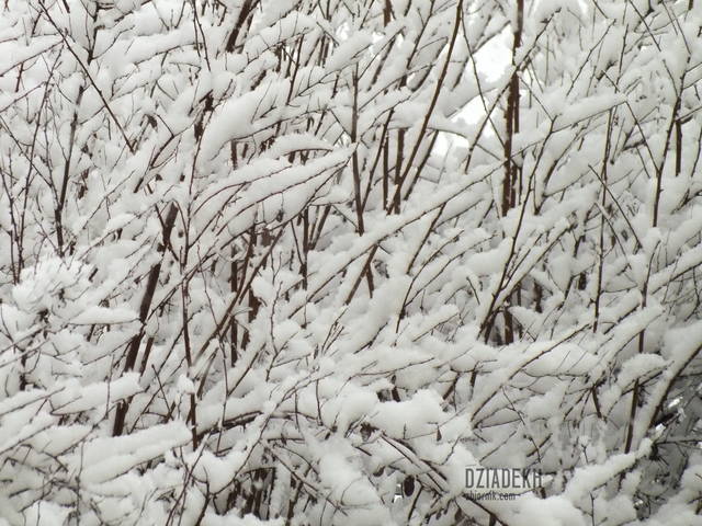 Powrót zimy w Warszawie - dziadekh