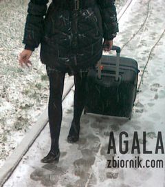 070220133266cz.jpg