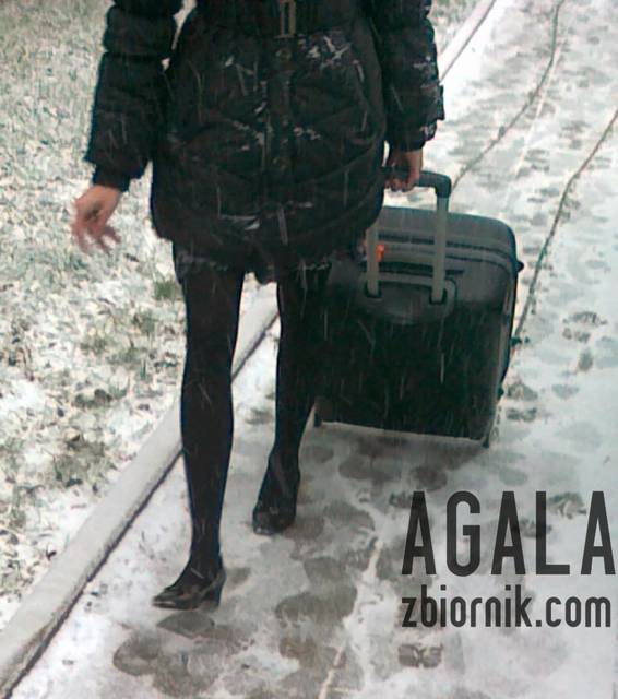 070220133266cz.jpg - AGALA