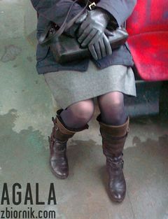 090220133387v.jpg