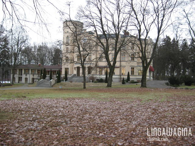 o 10.02.2013 029.jpg - lingawagina