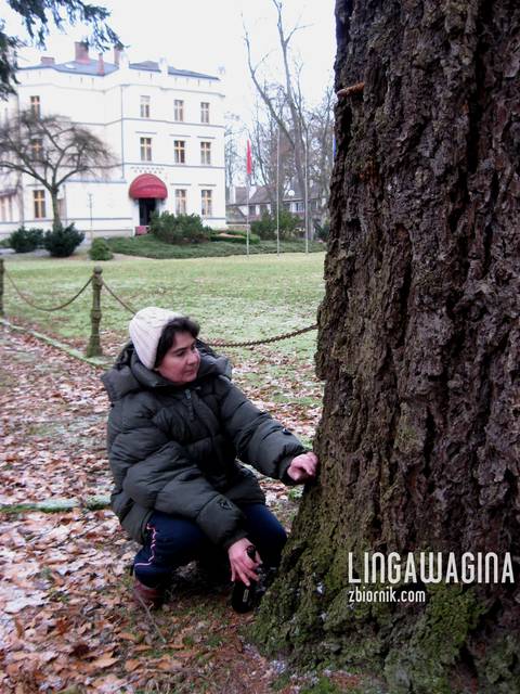 o 10.02.2013 043.jpg - lingawagina