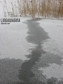 o 10.02.2013 082.jpg