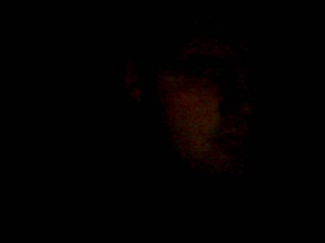 czerwony wiewiór - darekdarek0