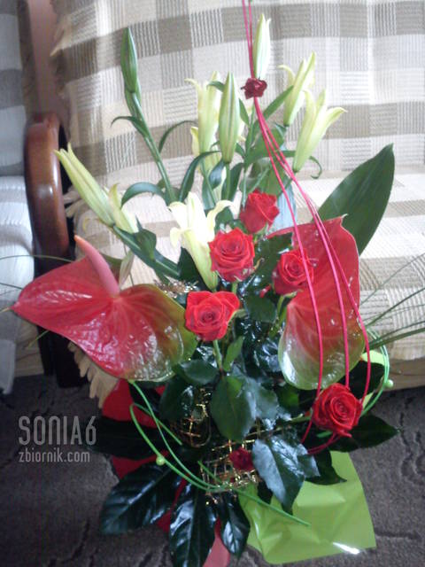 kwiaty :-) - Sonia6