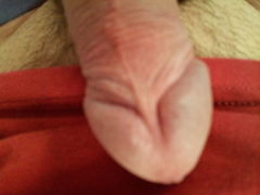 sgs_121855.jpg