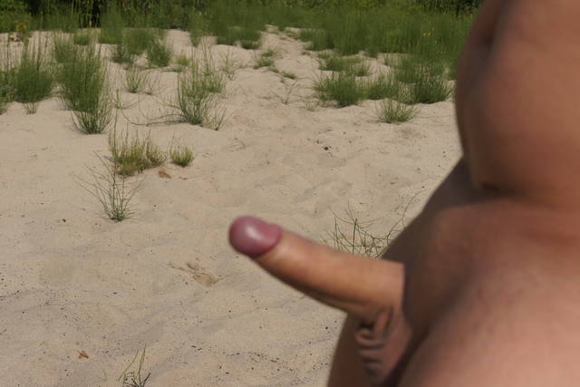 DSC00942.JPG - 1983marcello