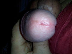 sgs_122203.jpg